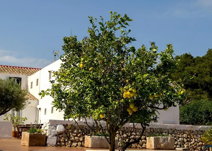 Binissafullet Vell Hotel Sant Lluís