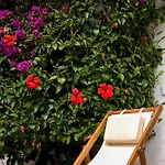 Binissafullet Vell Отель 3*
