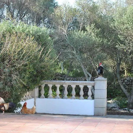 Binissafullet Vell 3* Sant Lluis