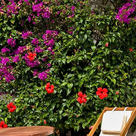 Binissafullet Vell Sant Lluis