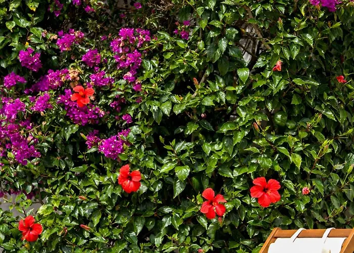 Binissafullet Vell Sant Lluís