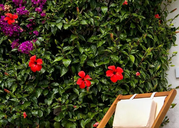 Binissafullet Vell Hotel 3*