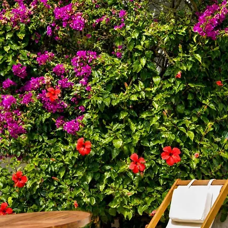 Hotel Agroturismo Hotel Rural Binissafullet Vell