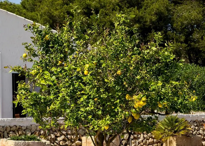 Hotel Binissafullet Vell Sant Lluis